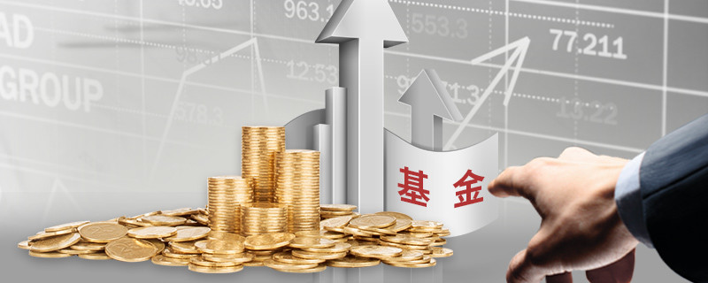 场内货币基金代码有哪些?