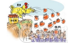 基金分红
